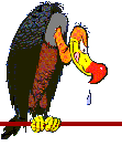 Vulture