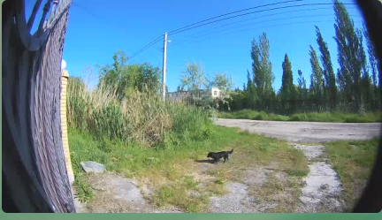image.png.f104438be683f821c731fddb0489b47e.png